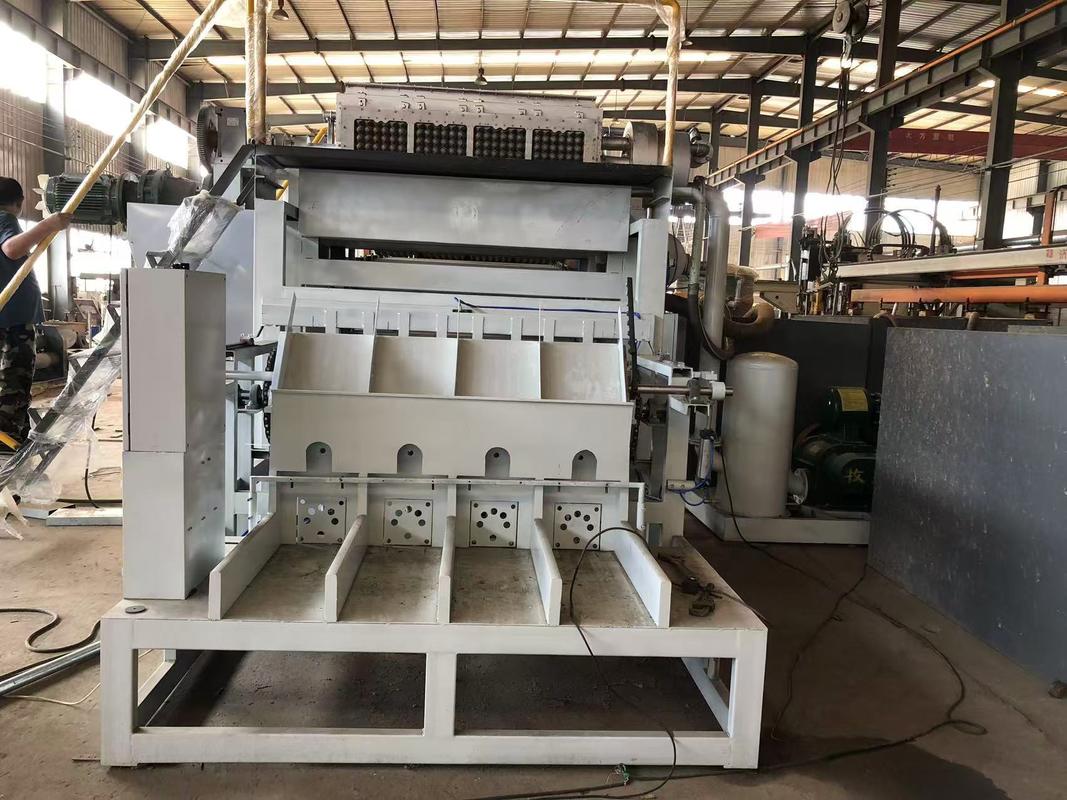 PLC Control Rotary Type Egg Carton Maker เครื่องทํากระปุกไข่ เครื่องผลิตกระปุกไข่