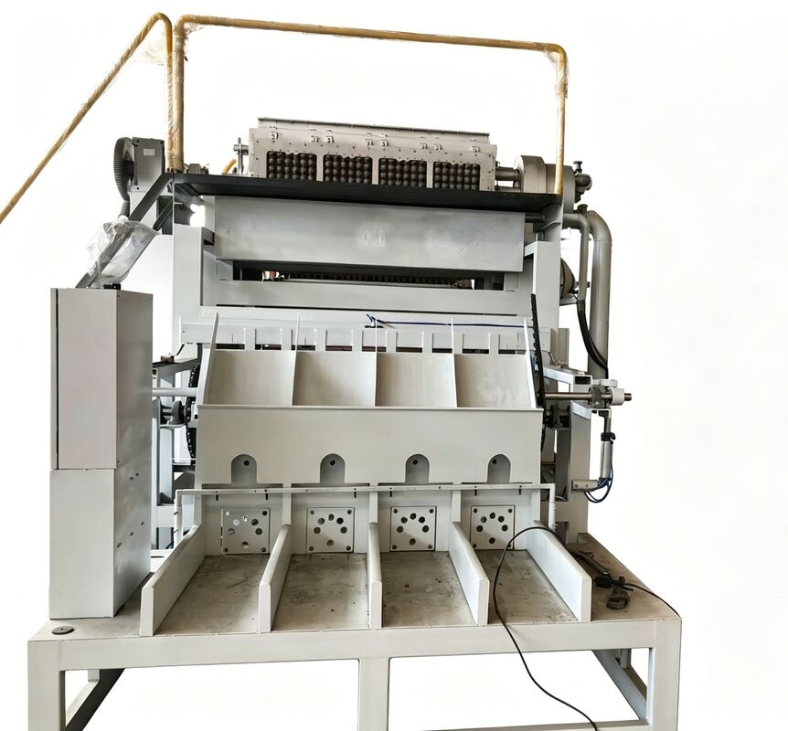 WANYOU WY-4 Rotary Egg Tray Forming Machine 2000-3000 pcs/h Recycled Paper Pulp Molding for Albanian Poultry Farm