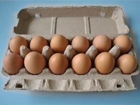 PLC Control Rotary Type Egg Carton Maker เครื่องทํากระปุกไข่ เครื่องผลิตกระปุกไข่