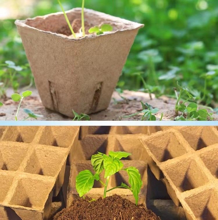 เครื่องทำถาดไข่เศษกระดาษเยื่อกระดาษสำหรับฟาร์มไก่กำลังการผลิตขนาดเล็ก